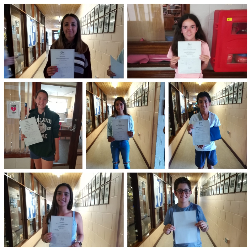 cursos-idiomas-extranjero-kilkenny-collage1