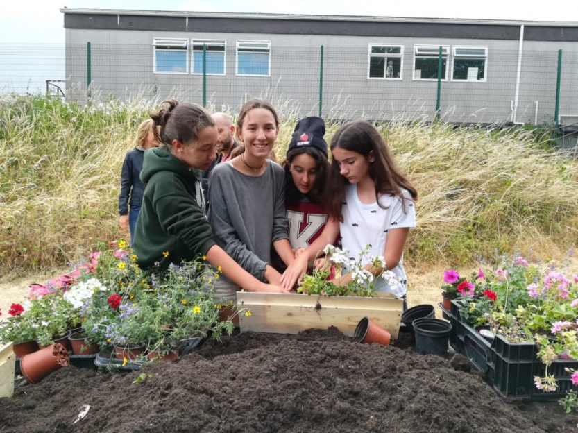 cursos-idiomas-extranjero-kilkenny-jardineria