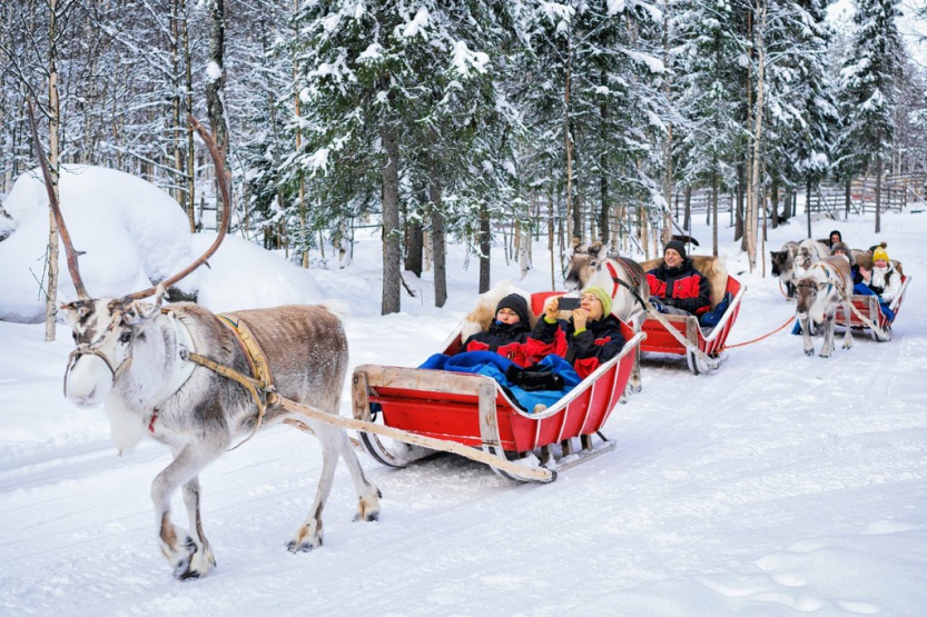 People in Reindeer sledge caravan safari in winter forest Rovaniemi